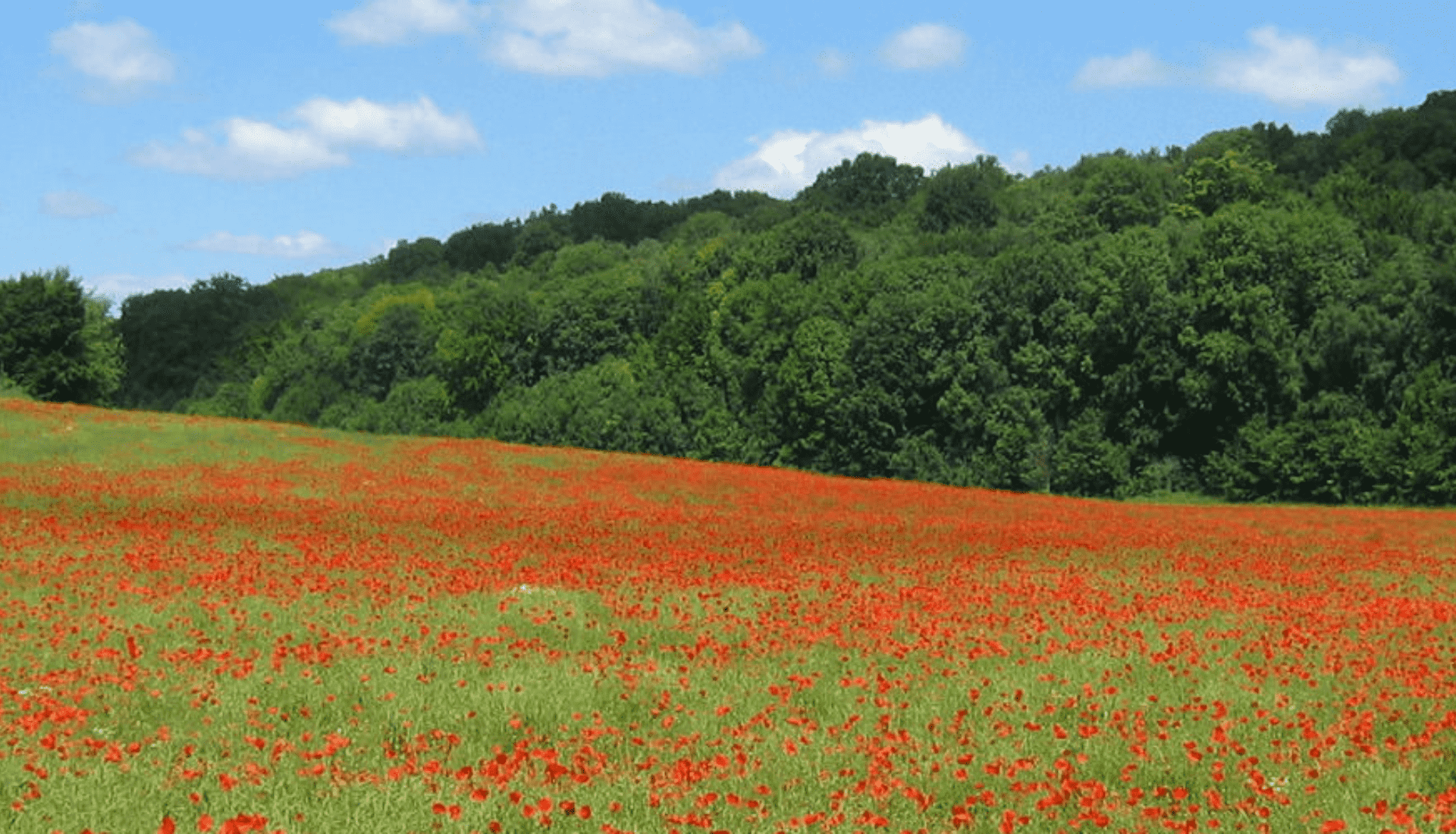 plateau de caux tourisme Normandie - auberge de la durdent Tourisme vallée de la Durdent - Visiter Héricourt-en-Caux - Attractions Normandie - Sites touristiques Normandie - Activités près de Rouen - Découverte Fécamp - Plages du Débarquement - Falaise d’Étretat